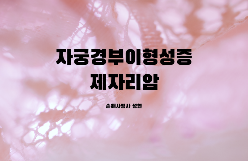 N87 자궁경부 이형성증 지급 거절? CIN 2·3단계 - D06, 제자리암 인정 근거