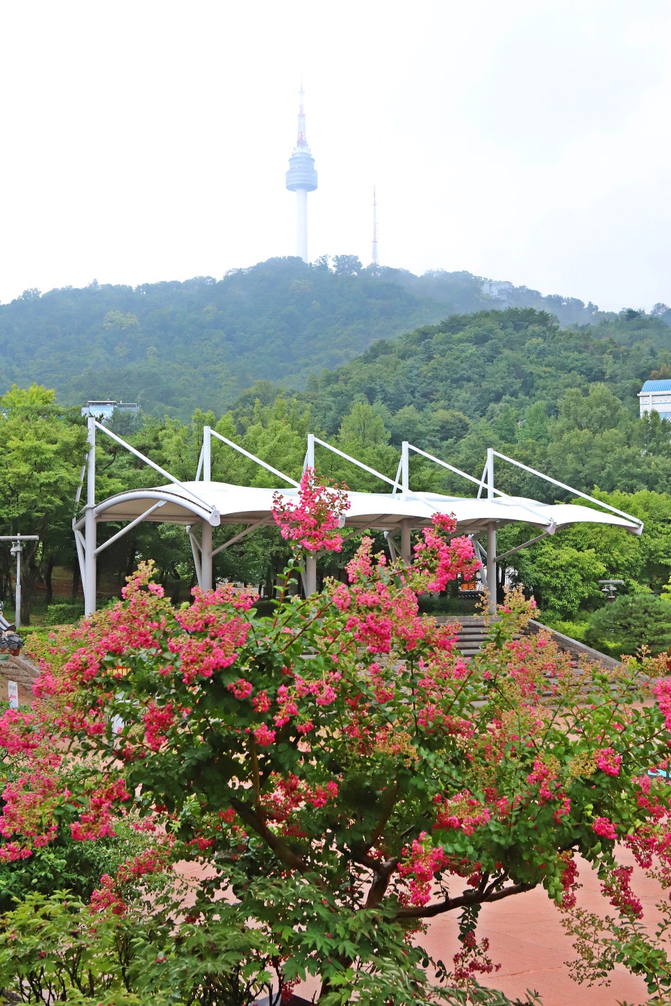 풍경 사진 6