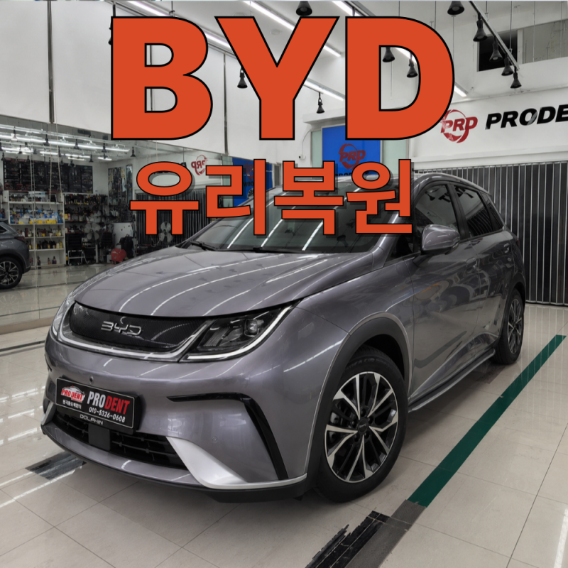 [인천 남동구 유리복원] 고속도로 주행 중 튄 돌빵! BYD 돌핀 전면유리 복원 시공 후기