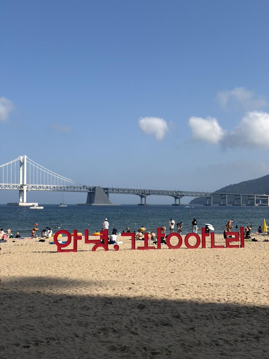소트 사진 5