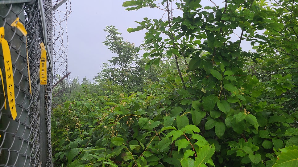 백운산 사진 4