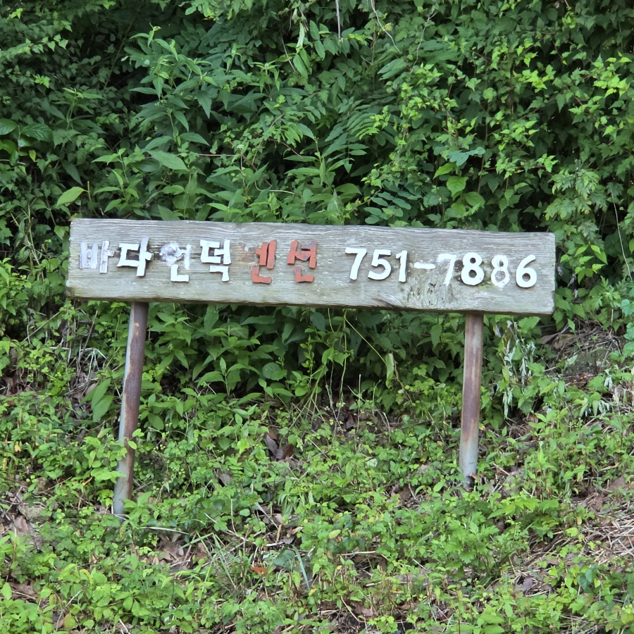 바다언덕펜션 사진 1