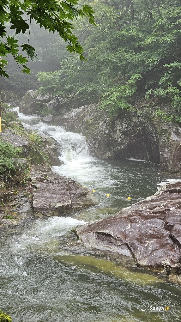 덕산계곡 사진 1