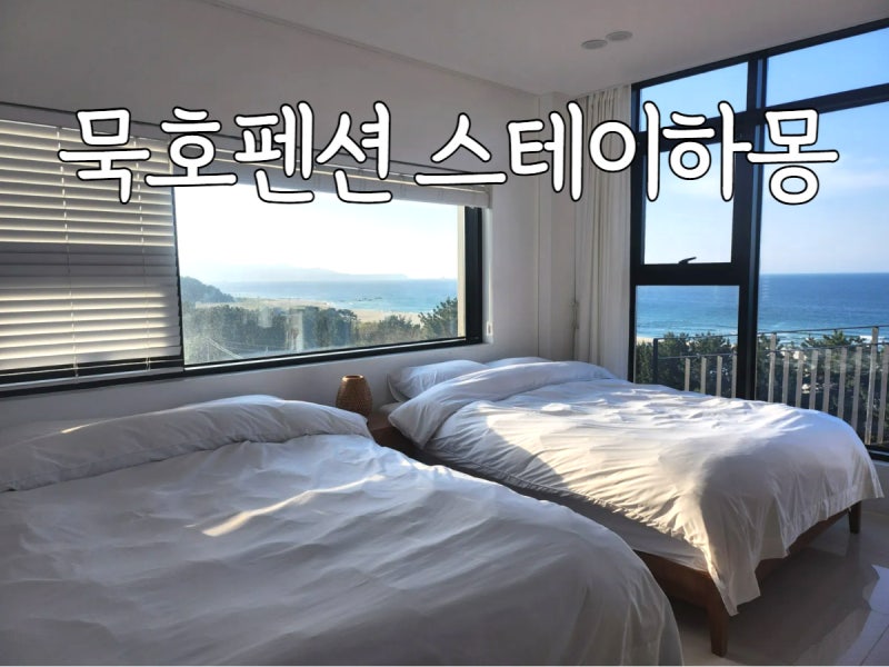 묵호 펜션 오션뷰숙소 스테이하몽 3인 숙박후기