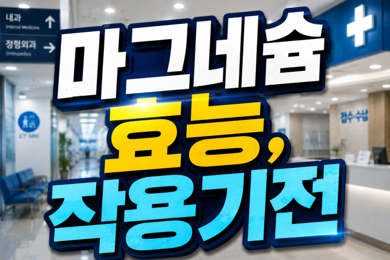 꿀잠 자는 마그네슘 효능, 작용기전, 제품별 효능