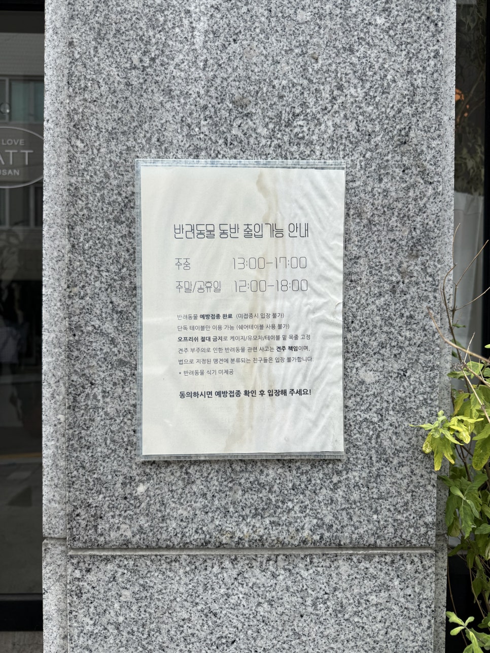 캐트 사진 2