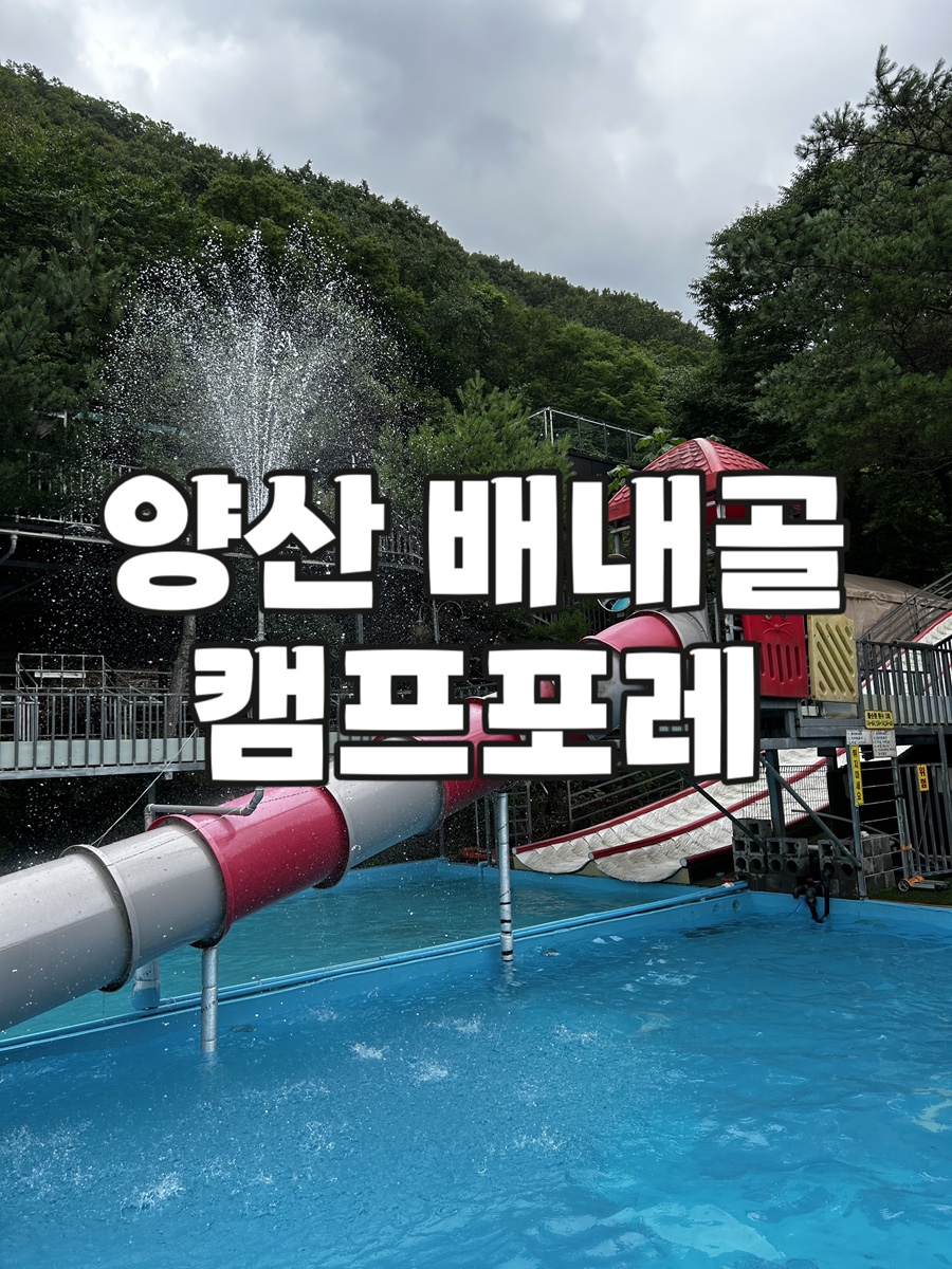 캠프포레 사진 3