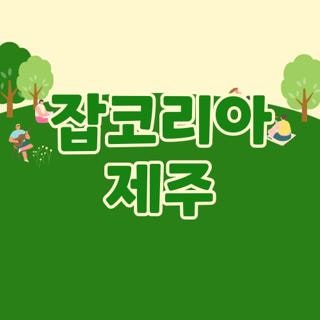 잡코리아 제주, 직접 부딪히며 알아낸 현실 구인·구직 100% 실전 꿀팁