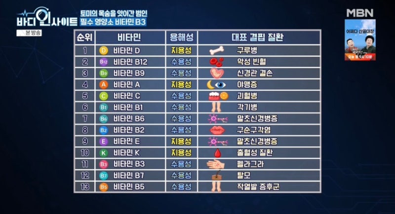 비타민 B3(니아신) 효능! NAD+ 생성부터 세포 에너지·노화 예방 - 바디인사이트