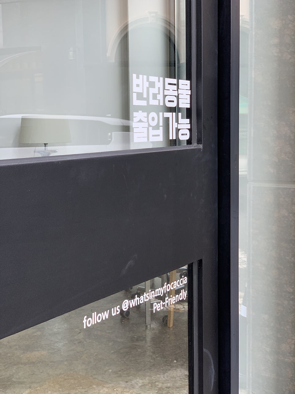 왓츠인마이포카치아 사진 6