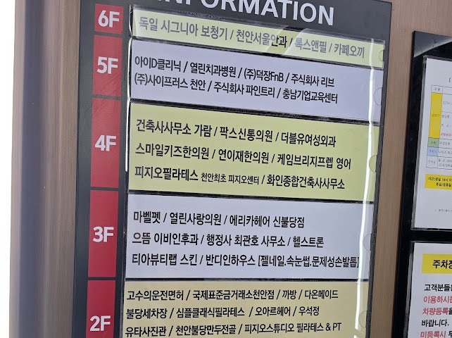 청춘 사진 5