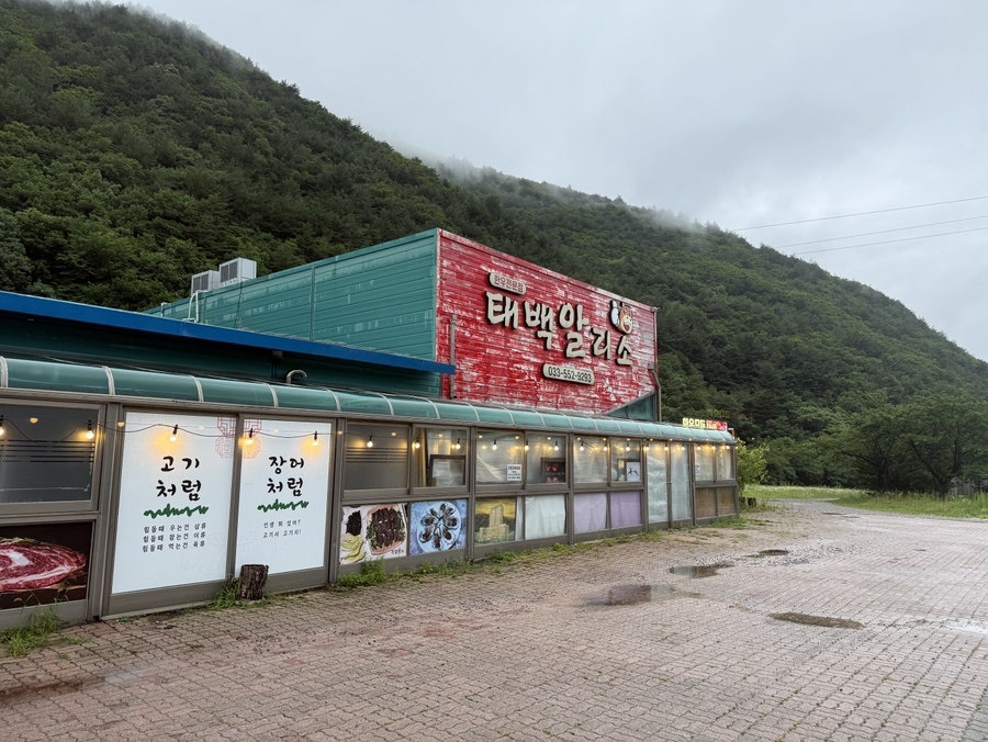 태백알리소 사진 1