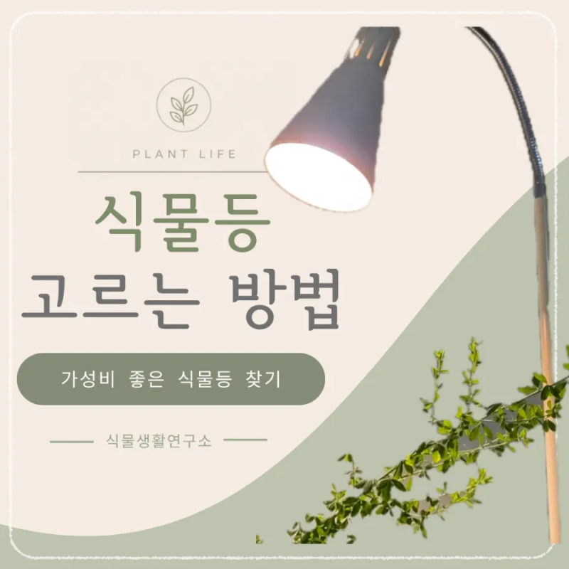 식물등 전구형 vs 바형 비교 장마철 식물등을 고른 기준과 사용방법