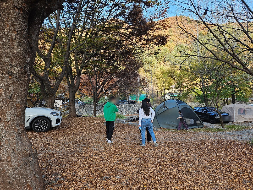 유명산밸리 사진 5