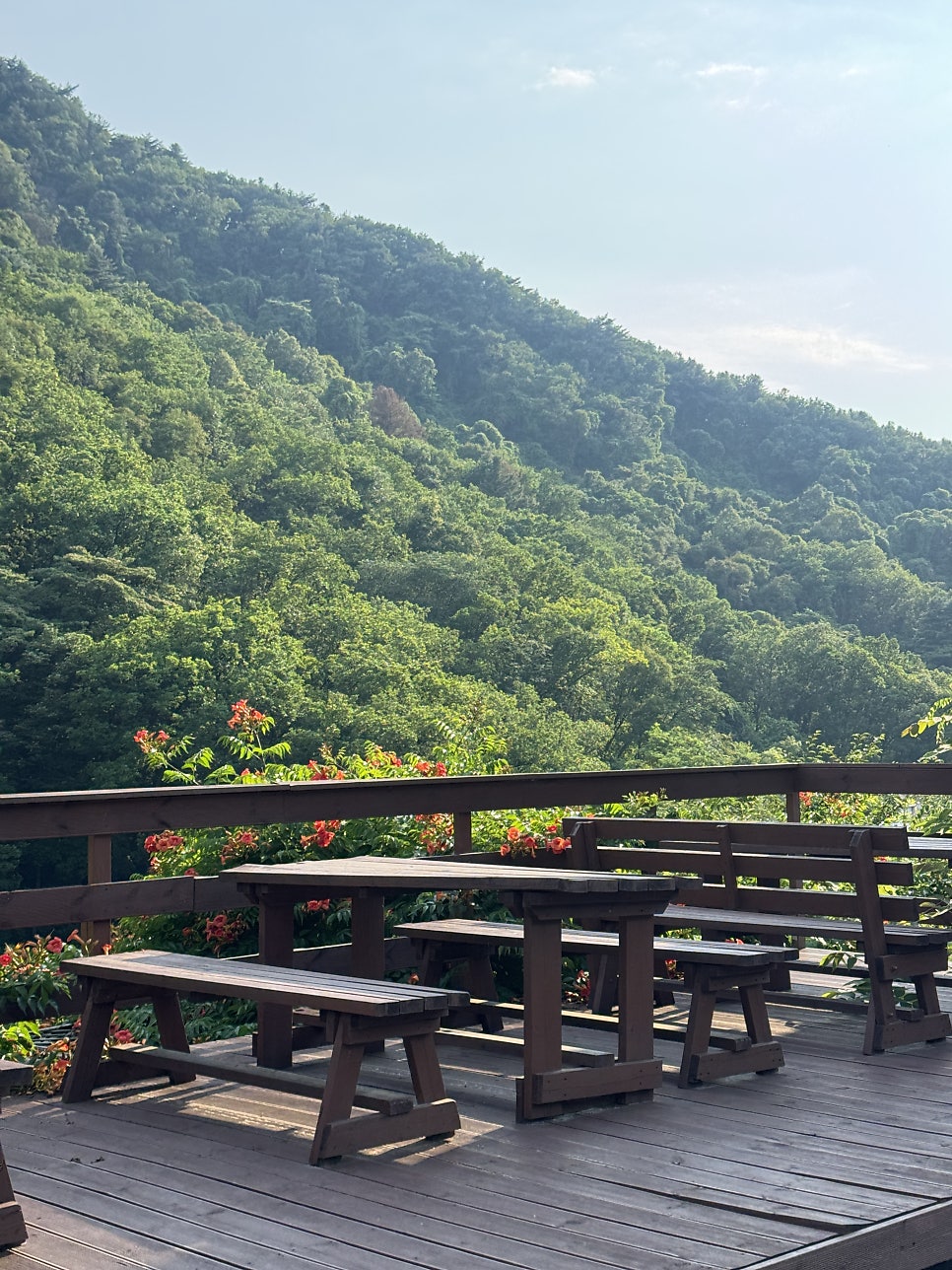 청산녹수 사진 4