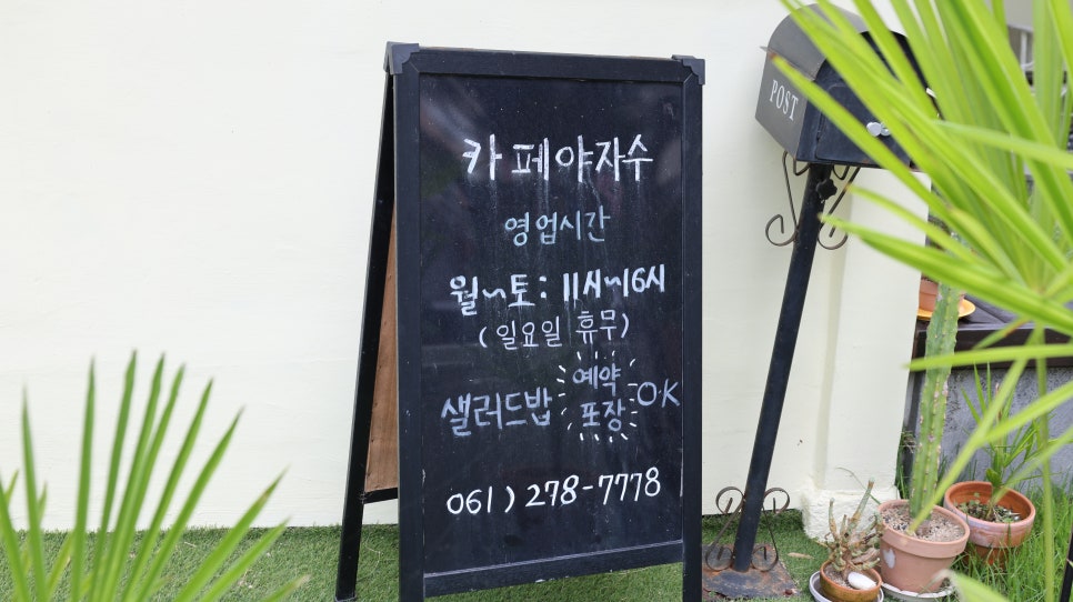 야자수 사진 6