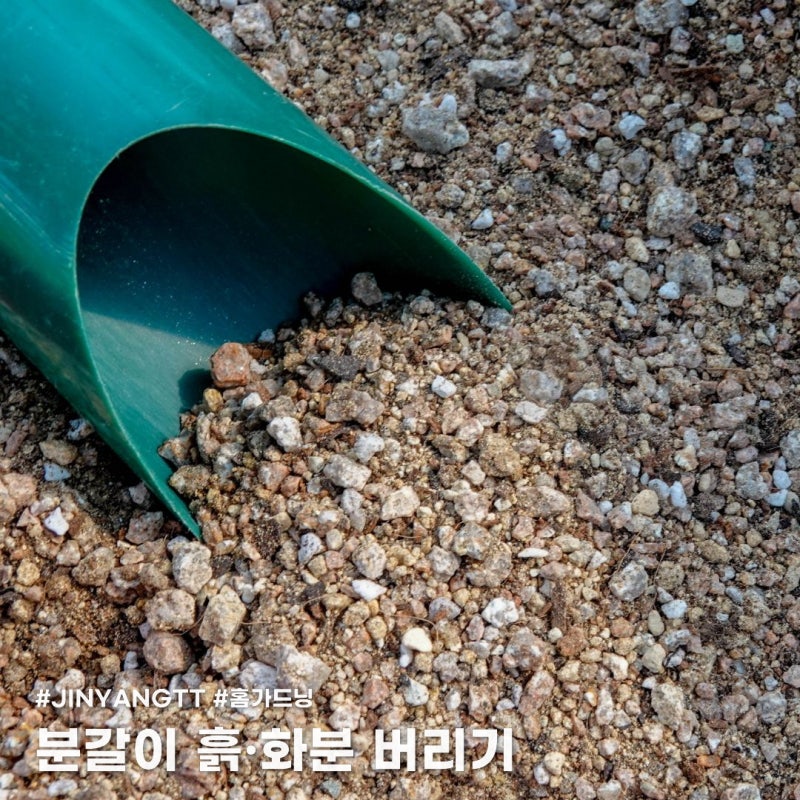 분갈이 흙, 화분 버릴땐 어떻게 해야 하나요? 재사용해도 되나요?
