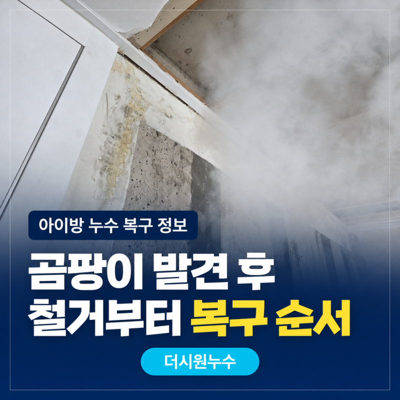 아이방 천장 누수 후 곰팡이 복구｜보양·석고보드·도배 순서