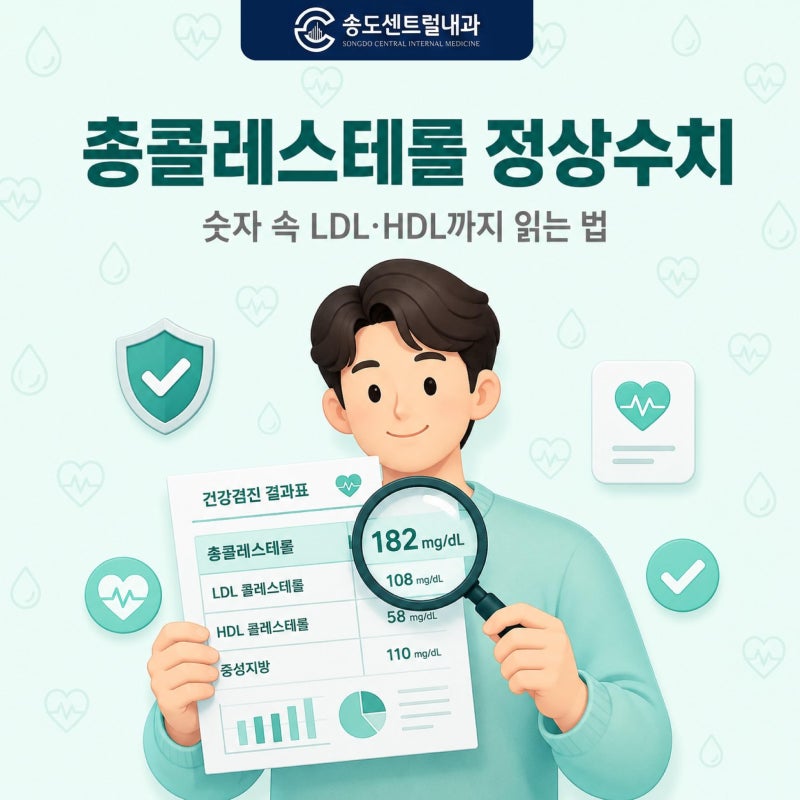 총콜레스테롤 정상수치