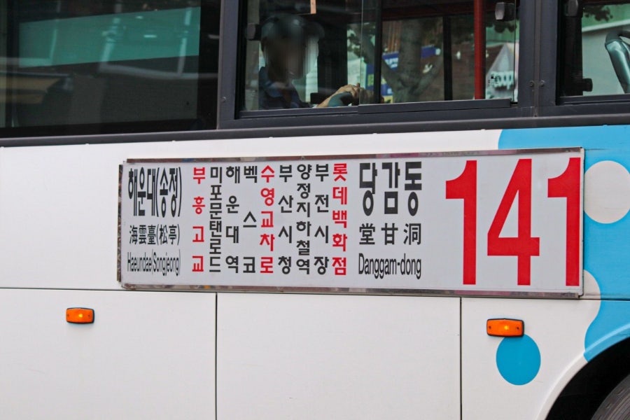 고상 사진 3