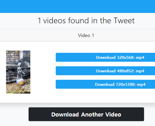 'Twitter Video Downloader' 트위터 비디오 다운로더, 설치 필요 없는 영상 GIF 무료 저장 사이트