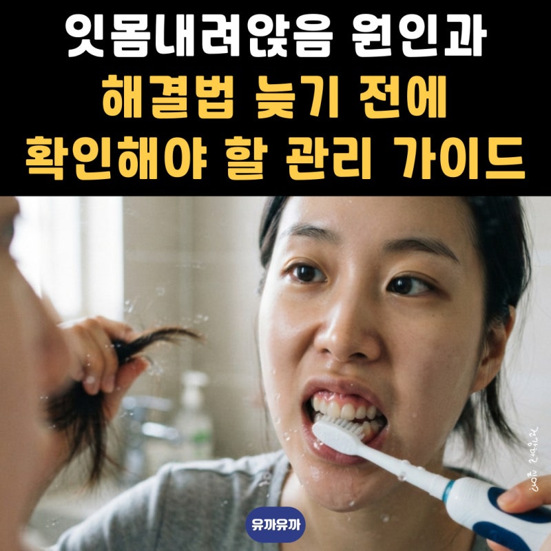 잇몸내려앉음 원인과 해결법, 늦기 전에 확인해야 할 관리 가이드