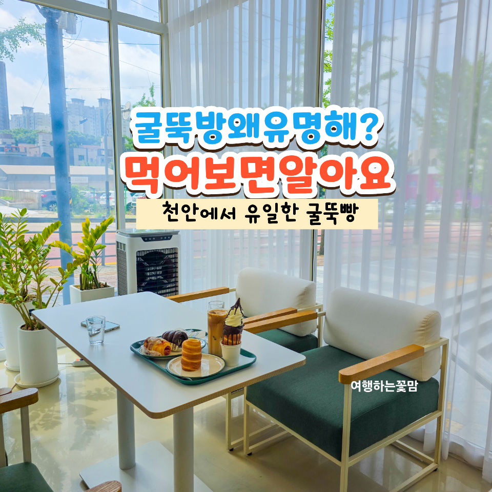 몽브 사진 1