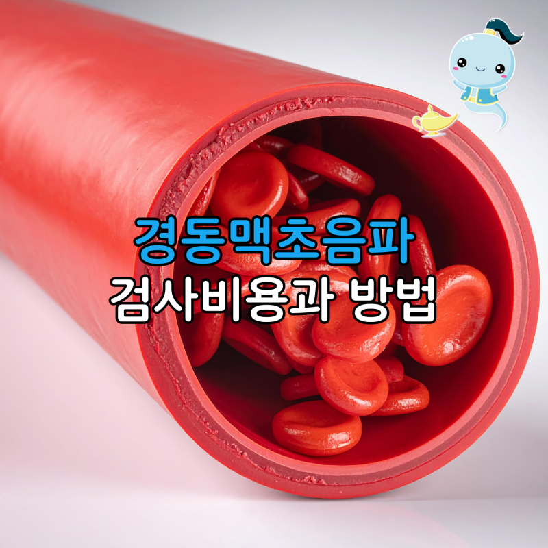 원인 모를 어지러움과 두통, 뇌졸중 예방을 위한 경동맥초음파 검사 비용과 방법