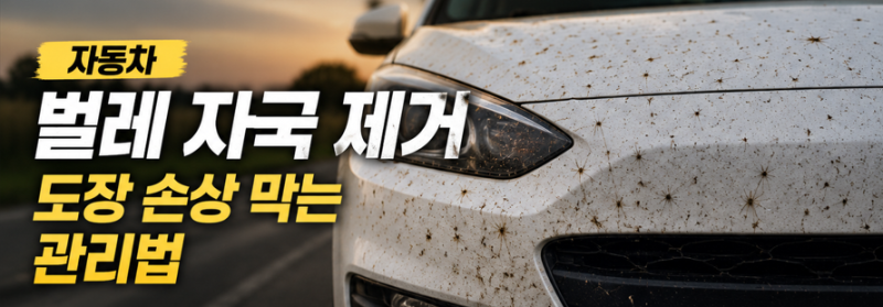 자동차 벌레 자국 제거 방법! 그대로 두면 도장면이 손상될 수 있습니다