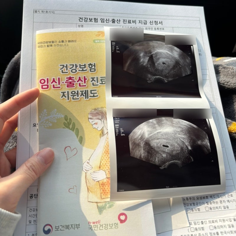 임신 확인 후 가장 먼저 해야할 일 | 보건소 임산부등록과 혜택까지 한번에 신청한 후기