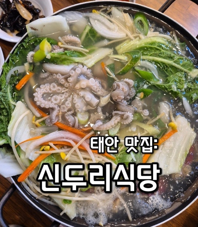 태안 맛집 신두리 해수욕장 맛집 신두리식당 쭈꾸미샤브샤브, 신선함에 반한 맛집!