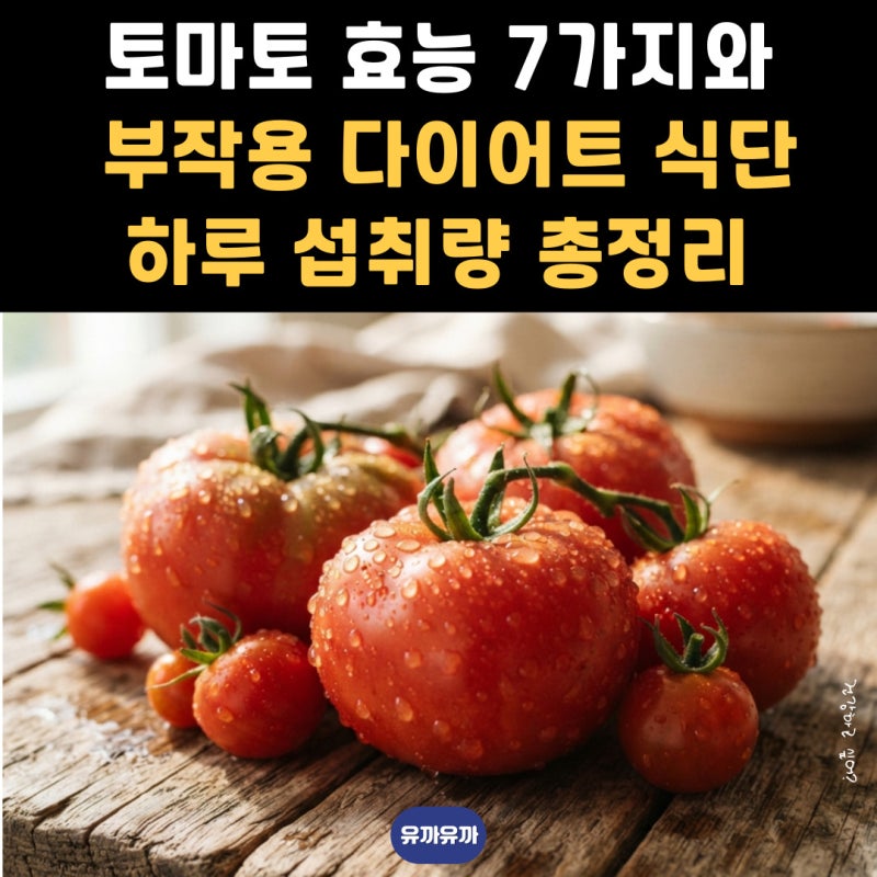 토마토 효능 7가지와 부작용 다이어트 식단 하루 섭취량 총정리