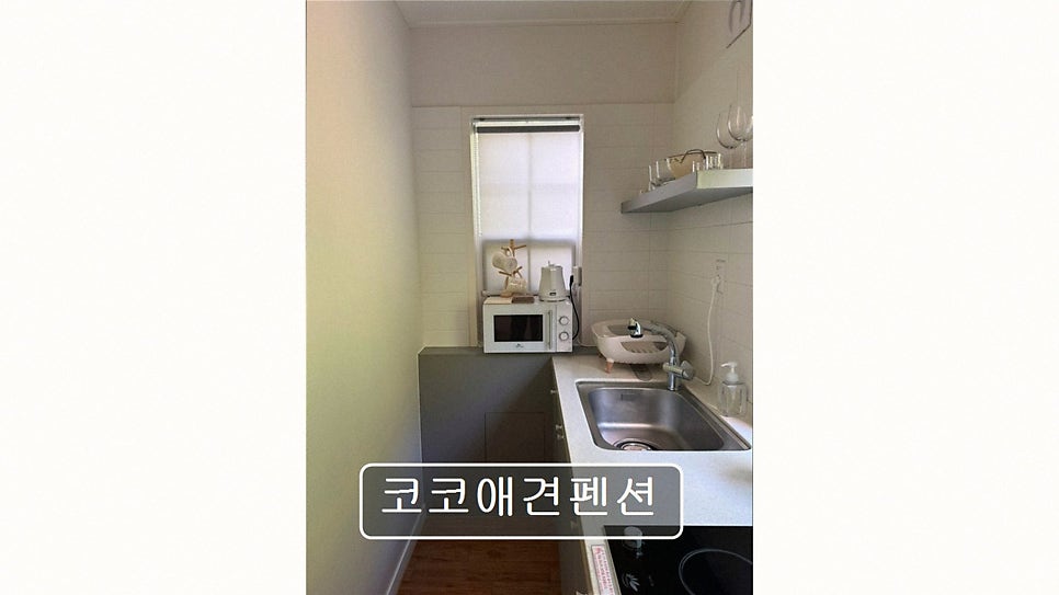 코코애견펜션 사진 3
