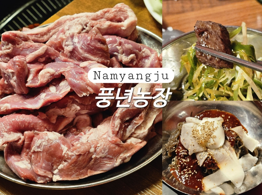 풍년 사진 1
