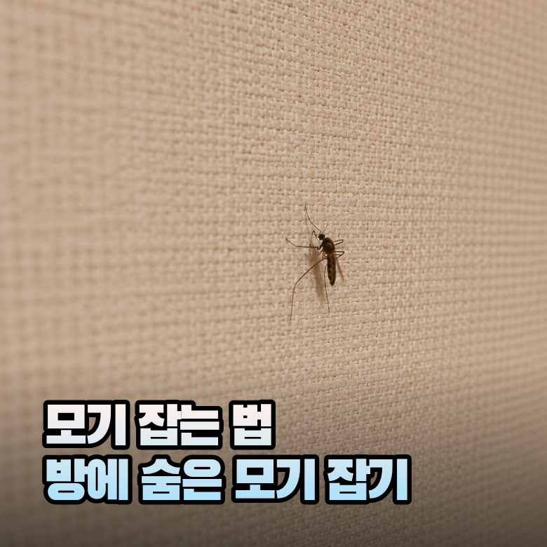 모기 잡는 법 방에 숨은 모기 쉽게 찾는 방법