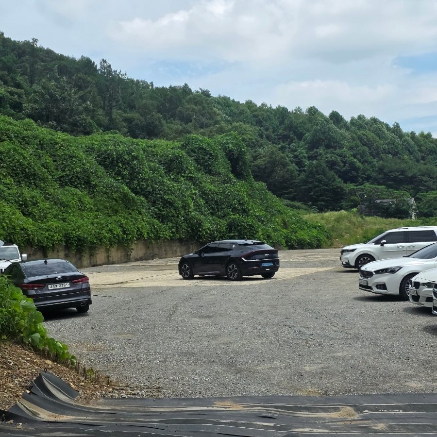 우드페커 사진 4