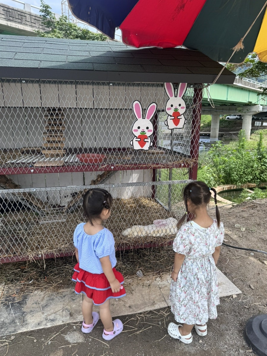 구스커피 사진 5