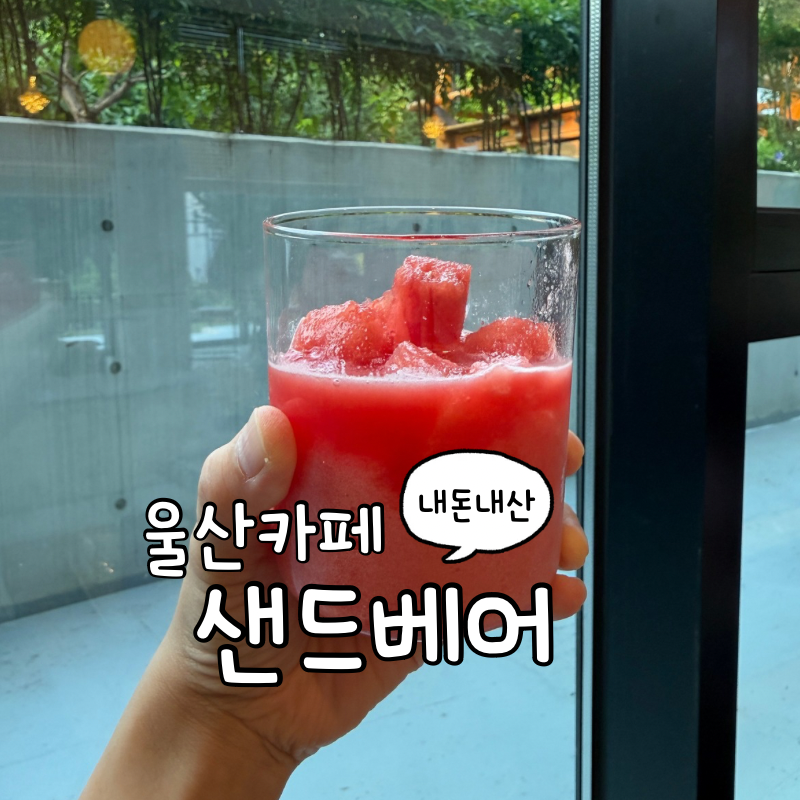 샌드베어 사진 1