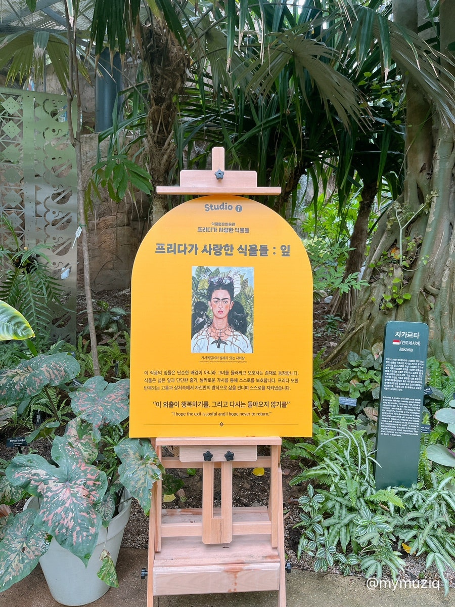 서울식물원 푸드코트 사진 3