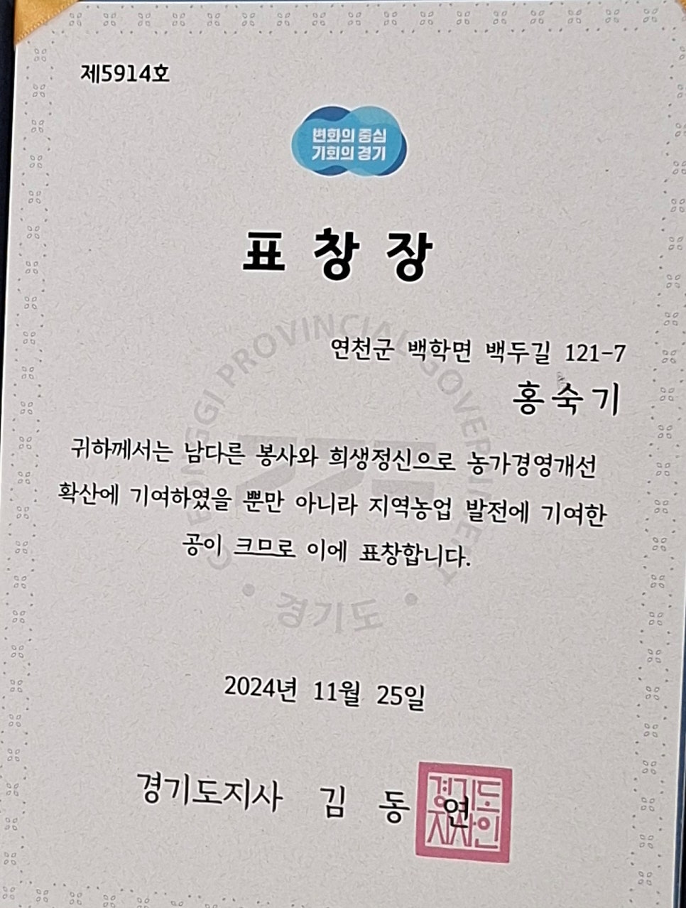 마시치요 사진 6