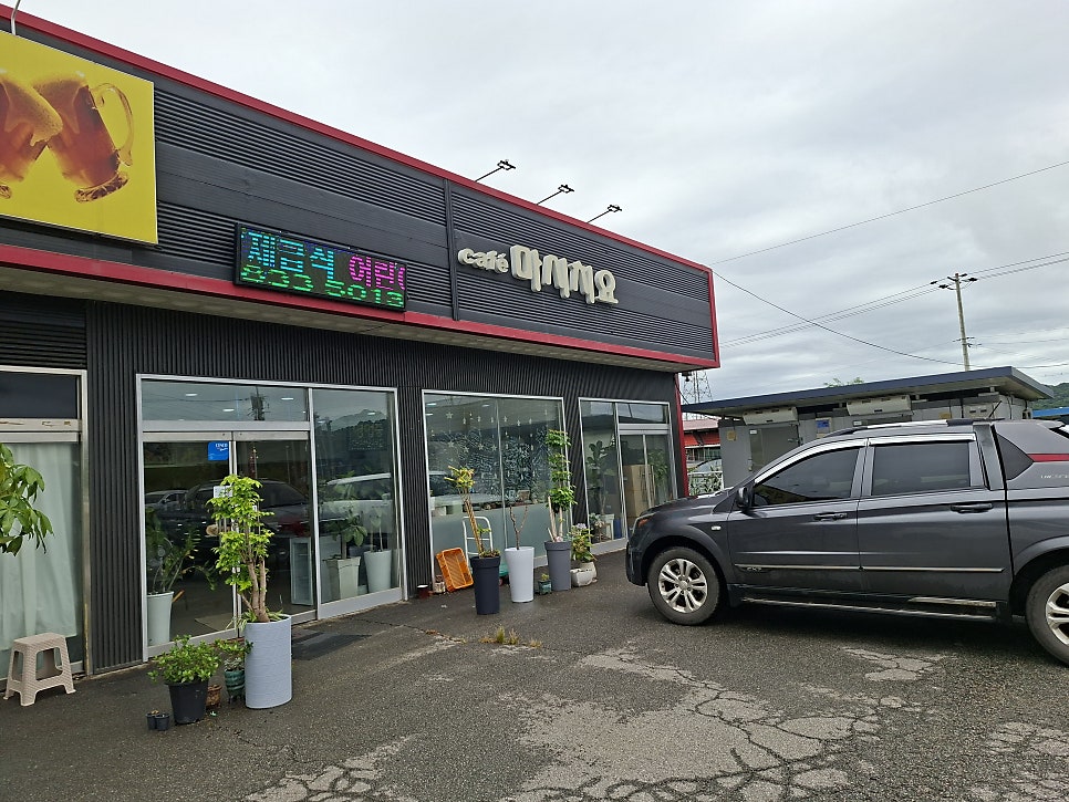 마시치요 사진 1