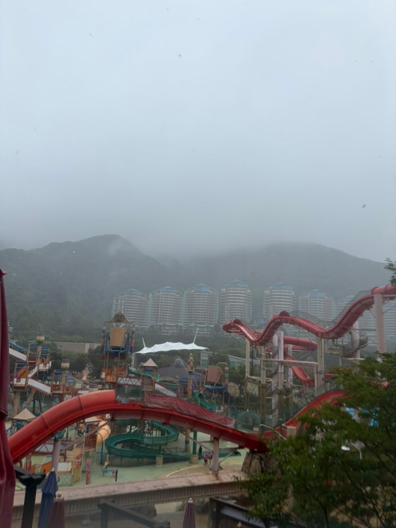 비 오는 날 오션월드 골드시즌 평일 후기 주차장 꿀팁 놀이기구 눈치싸움 성공!
