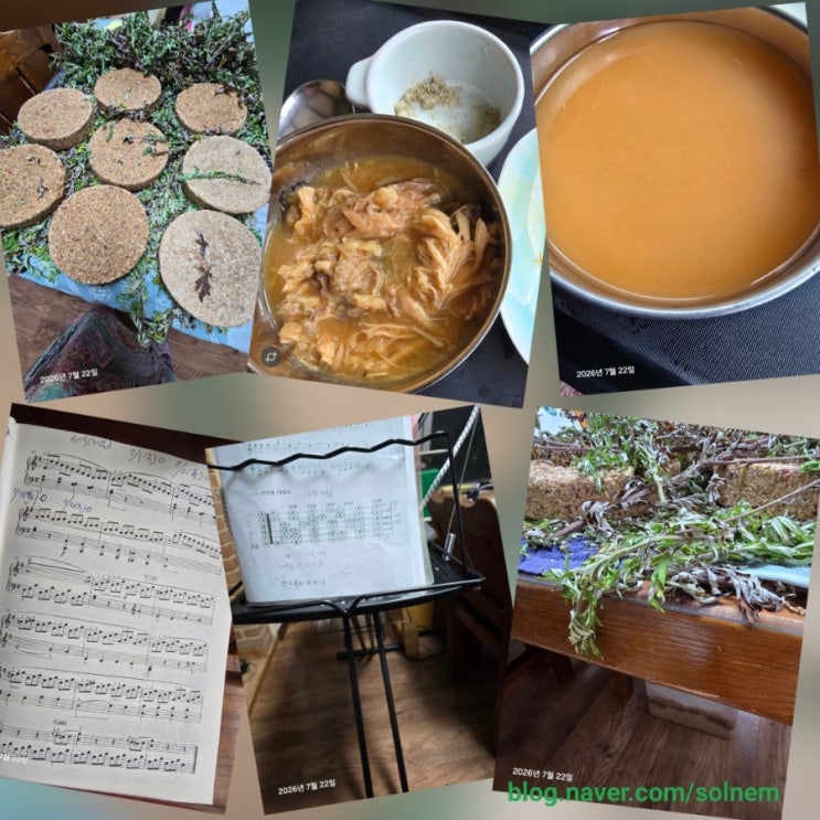 #유월 #초아흐레 #<b>대서</b>前日