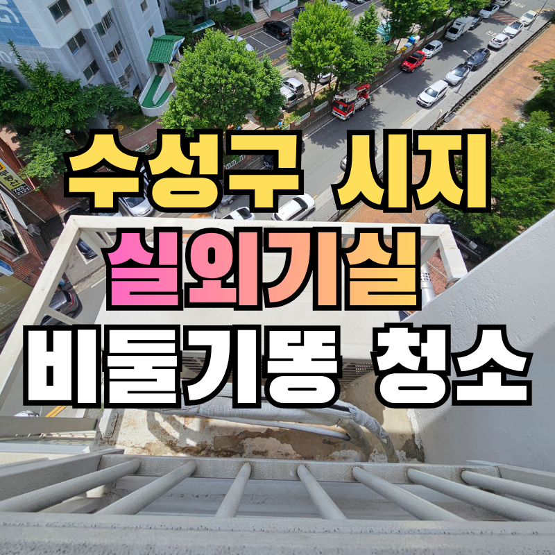 비둘기똥 제거, 전세집 실외기공간 비둘기 배설물 둥지 제거 소독
