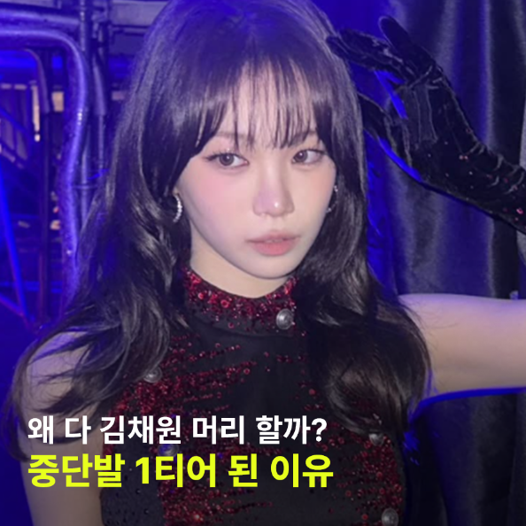 왜 다들 김채원 중단발 허쉬컷을 찾을까? 다시 주목받는 진짜 이유