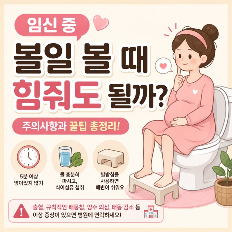 [임산부 변비] 임신중 볼일 볼때 힘줘도 될까? 치질, 치핵, 배뭉침 주의~