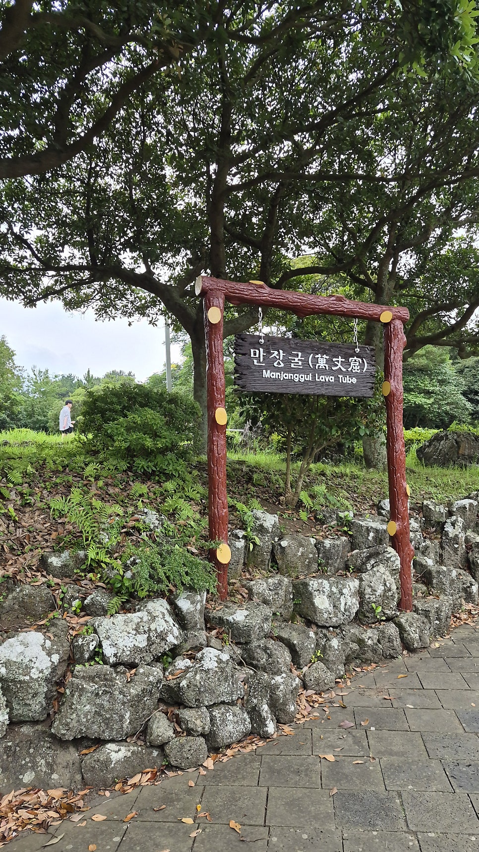 설화 사진 2