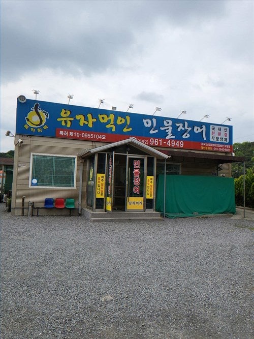 유자먹인민물장어 사진 5