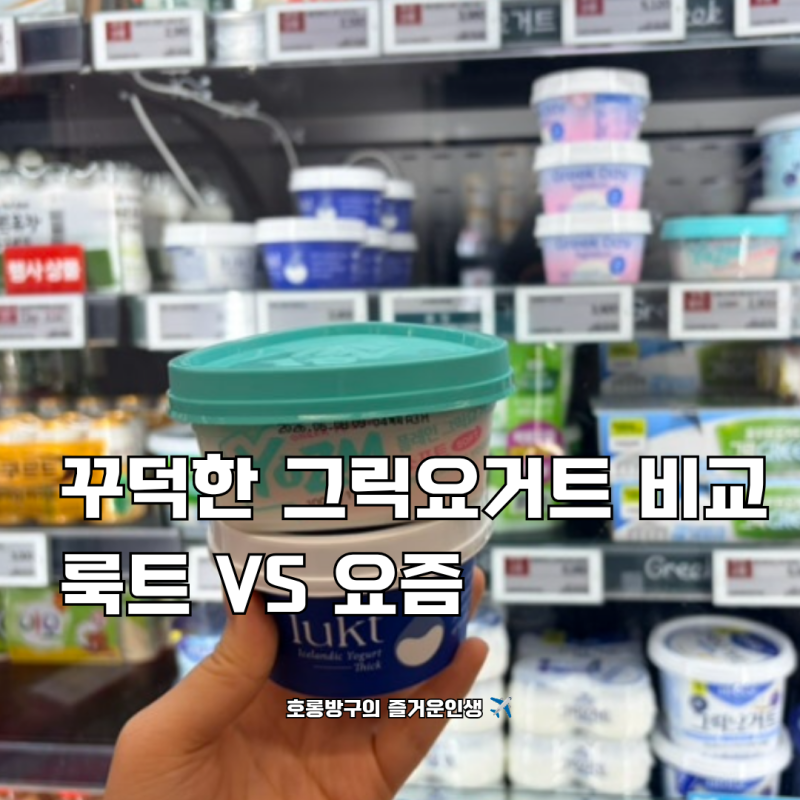 꾸덕 그릭요거트 추천 요즘 그릭요거트 룩트 아이슬란딕 요거트 띠크 칼로리 질감 산미 내돈....