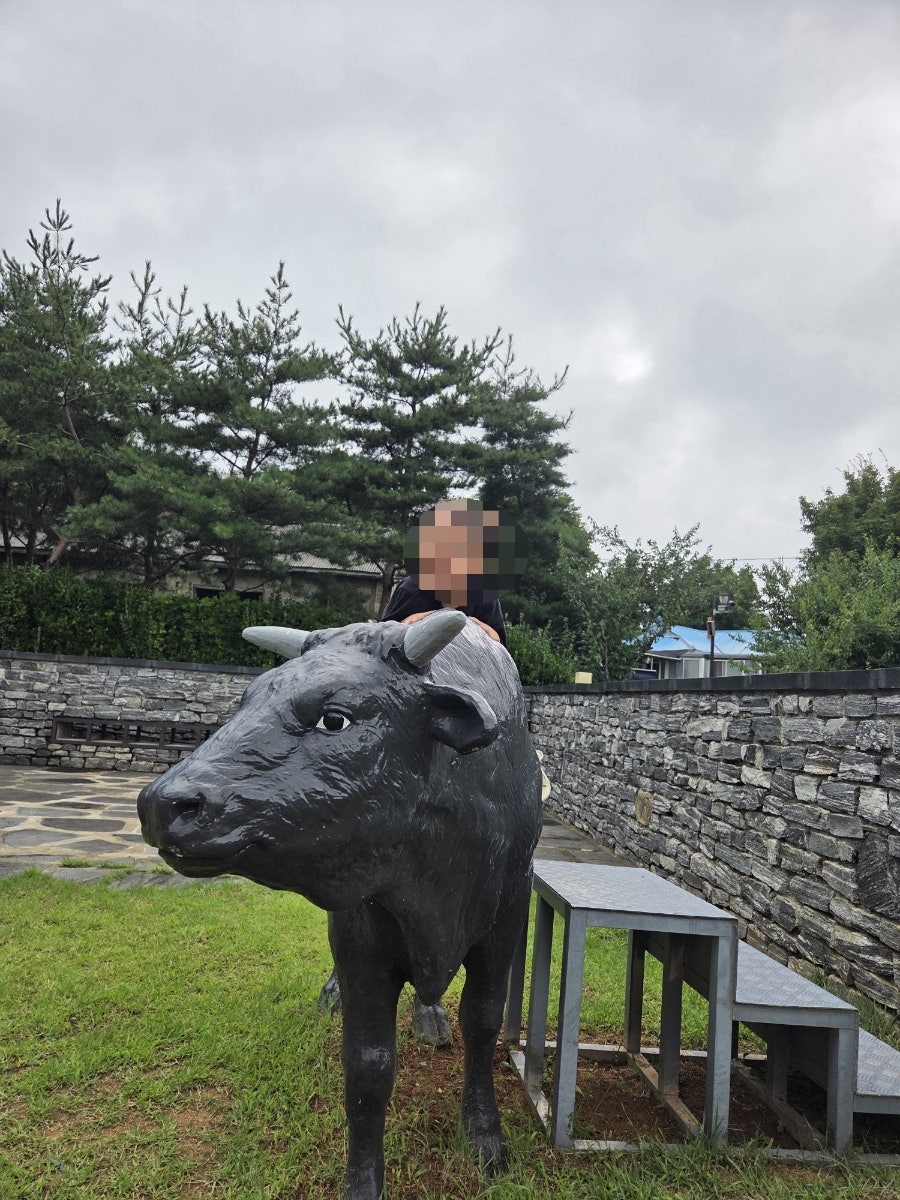 아날로그 사진 4